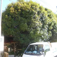 画像1469：嵐山町S邸