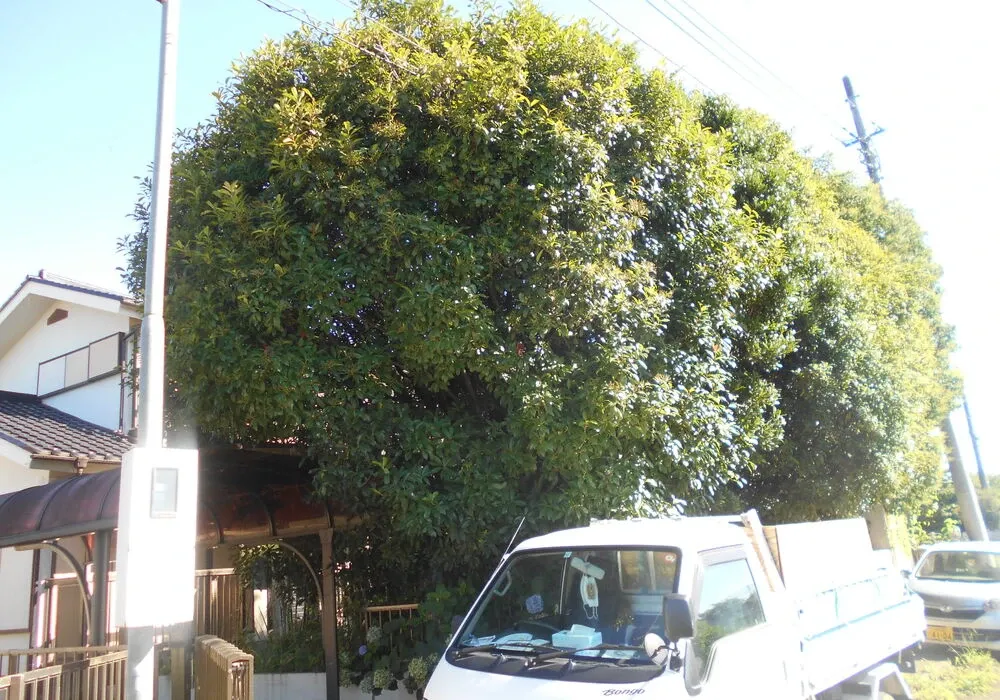 画像1469：嵐山町S邸