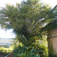 画像1471：嵐山町S邸