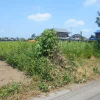 画像1473：嵐山町S邸