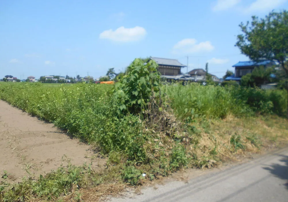 画像1473：嵐山町S邸