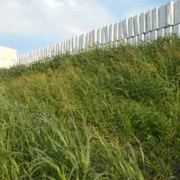 画像1478：嵐山町S邸