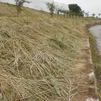 画像1480：嵐山町S邸