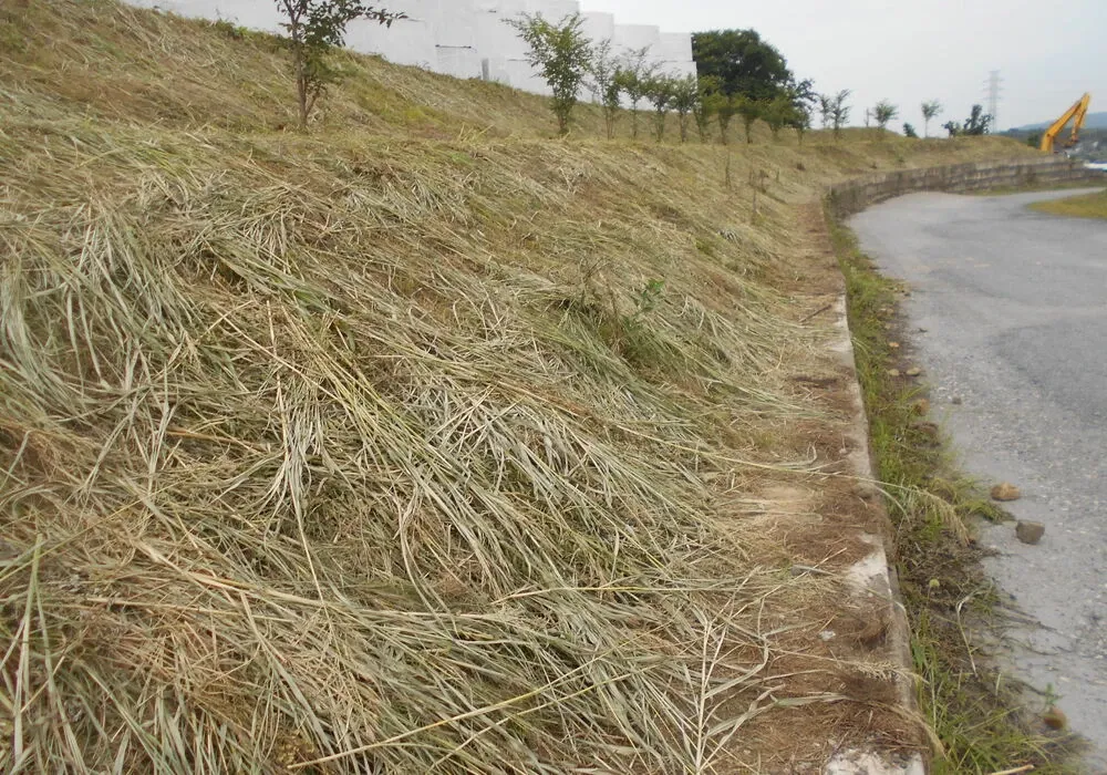 画像1480：嵐山町S邸