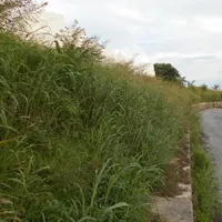 画像1483：嵐山町S邸