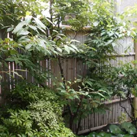 画像1490：嵐山町S邸