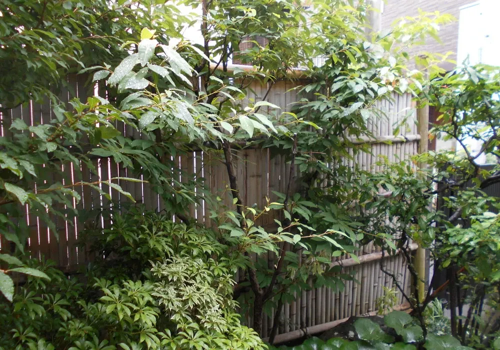 画像1490：嵐山町S邸