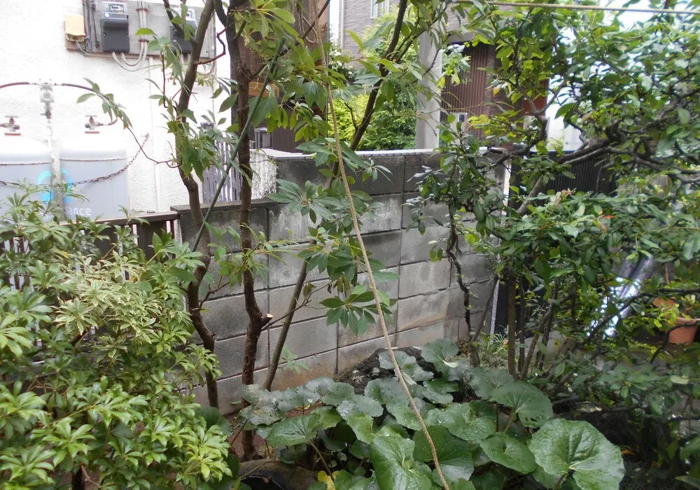 画像1491：嵐山町S邸