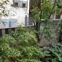 画像1492：嵐山町S邸