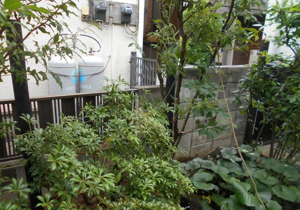 画像1492：嵐山町S邸