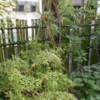 画像1493：嵐山町S邸