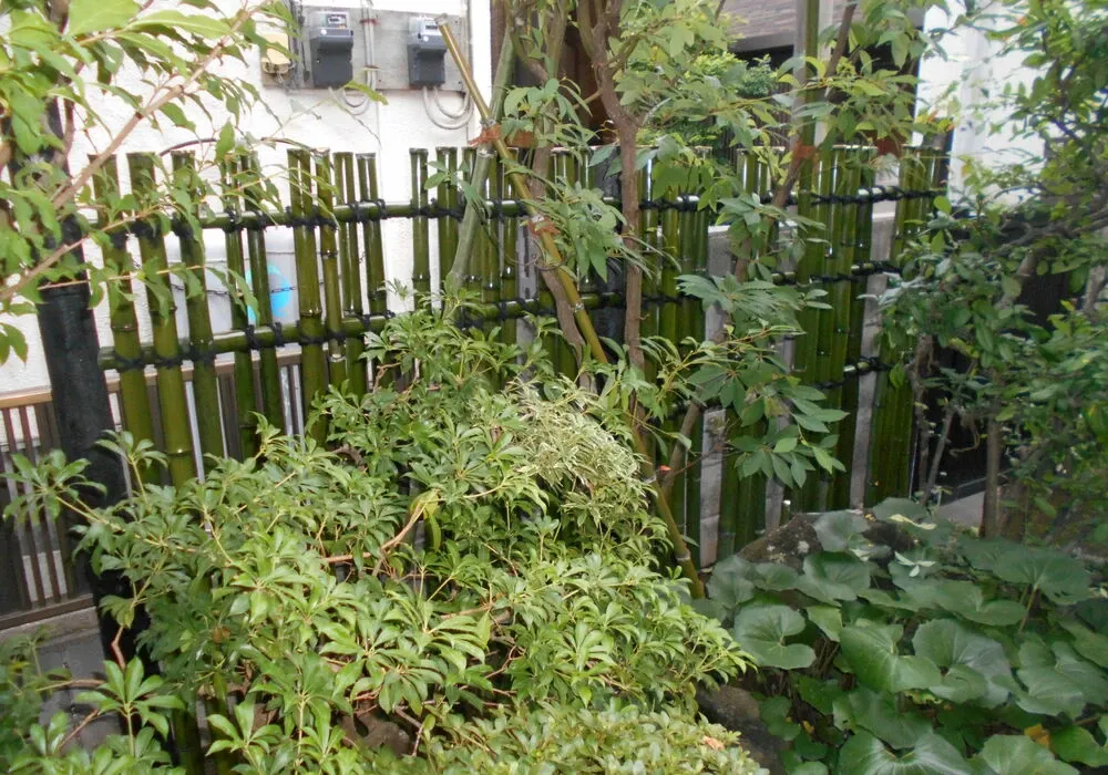 画像1493：嵐山町S邸