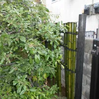 画像1498：嵐山町S邸