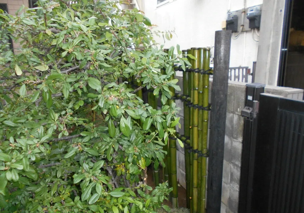 画像1498：嵐山町S邸