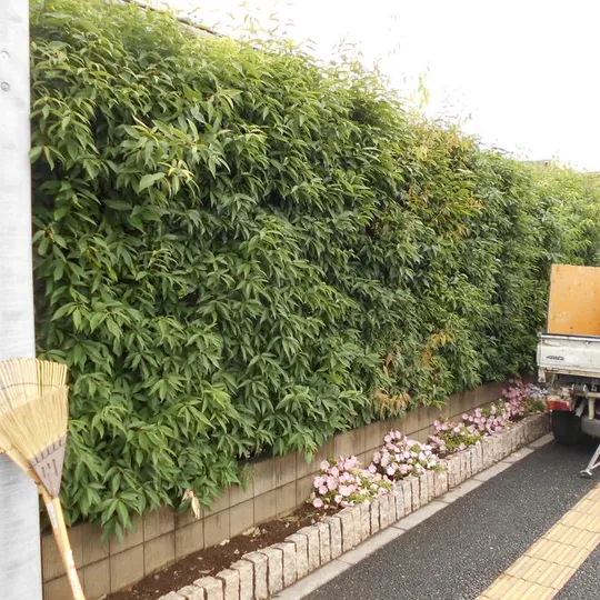 画像1500：鶴ヶ島市 H邸