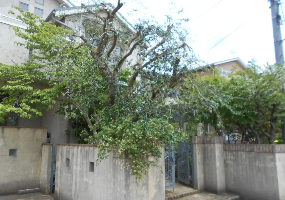 画像1522：嵐山町S邸
