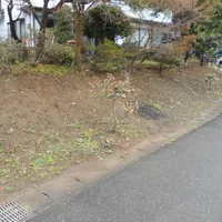 画像1532：嵐山町S邸
