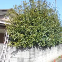 画像1542：嵐山町S邸