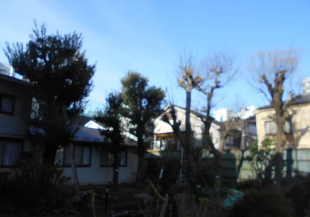 画像1545：嵐山町S邸