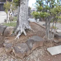 画像1547：嵐山町S邸