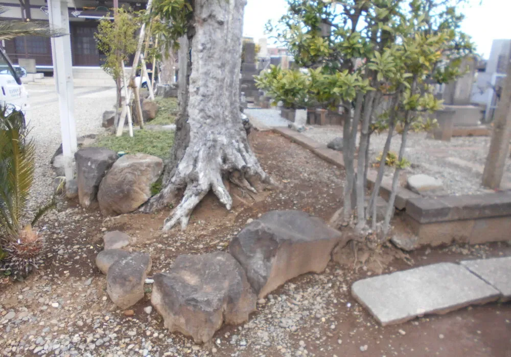 画像1547：嵐山町S邸