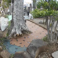 画像1548：嵐山町S邸