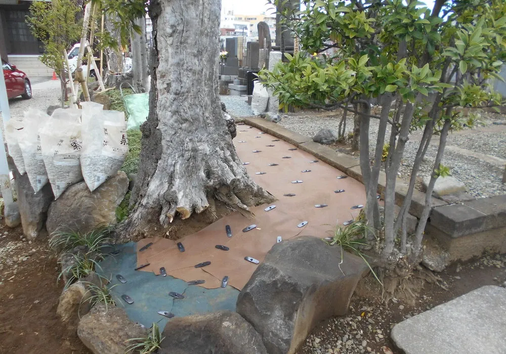 画像1548：嵐山町S邸