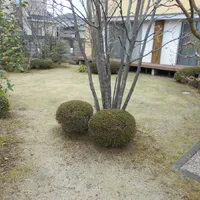 画像1554：嵐山町S邸