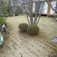 画像1555：嵐山町S邸
