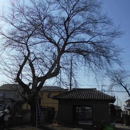 画像1566：さいたま市西区 K寺様