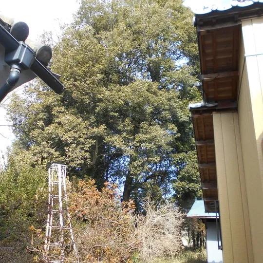 画像1612：滑川町 M邸