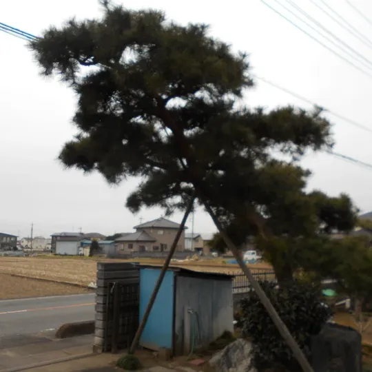 画像1622：行田市 T邸
