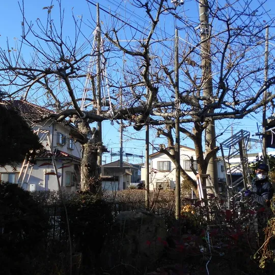画像1627：さいたま市北区 M邸
