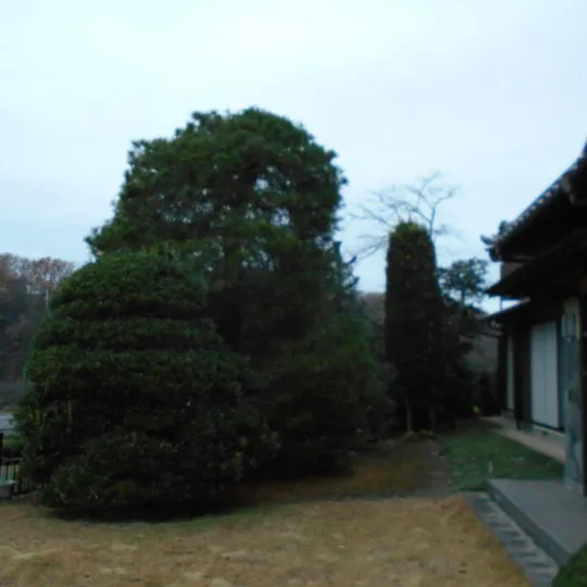 画像1641：鳩山町 I邸