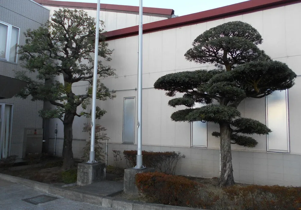 画像1654：嵐山町S邸
