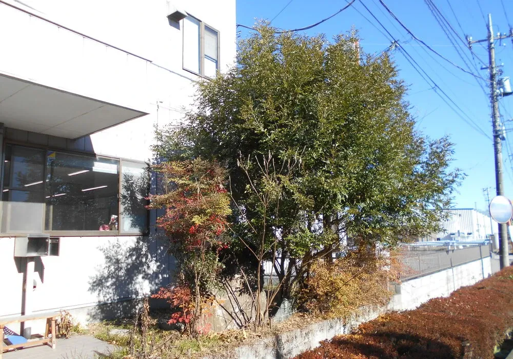 画像1656：嵐山町S邸