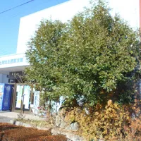 画像1658：嵐山町S邸
