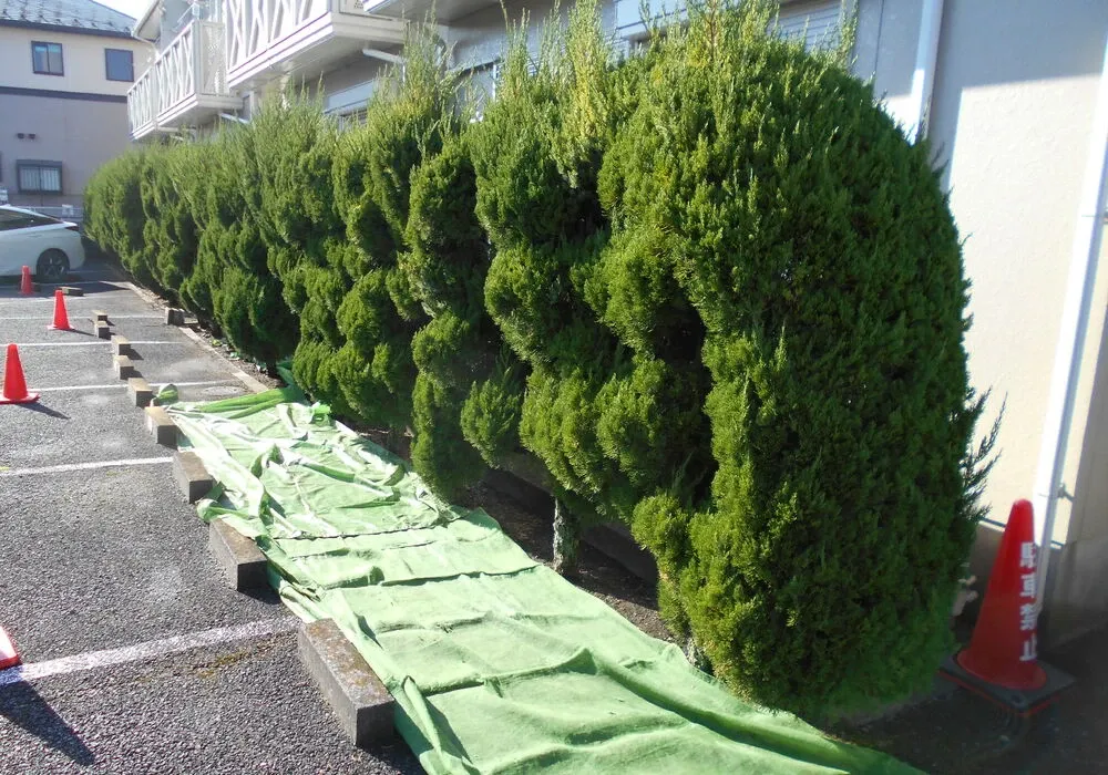画像1666：嵐山町S邸