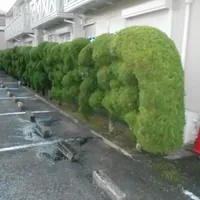 画像1667：嵐山町S邸