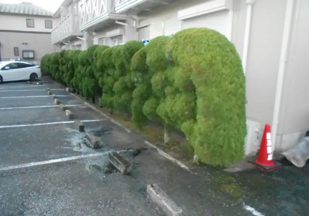 画像1667：嵐山町S邸