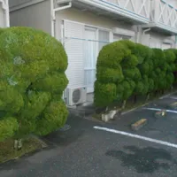 画像1669：嵐山町S邸