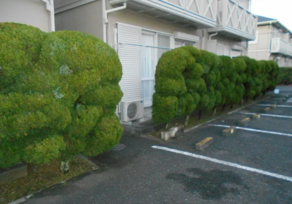 画像1669：嵐山町S邸