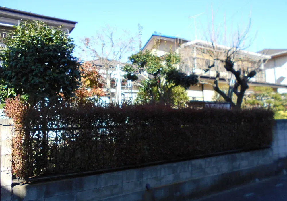画像1671：嵐山町S邸