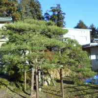 画像1682：嵐山町S邸