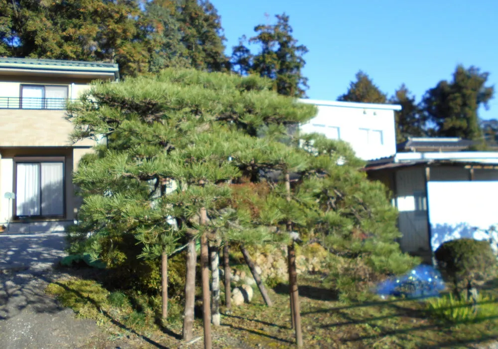 画像1682：嵐山町S邸