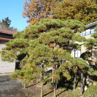 画像1683：嵐山町S邸