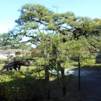 画像1684：嵐山町S邸