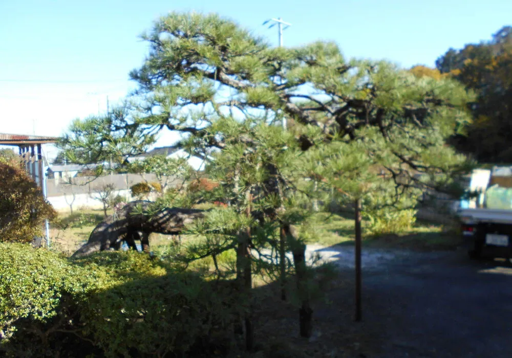 画像1684：嵐山町S邸
