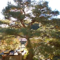 画像1685：嵐山町S邸