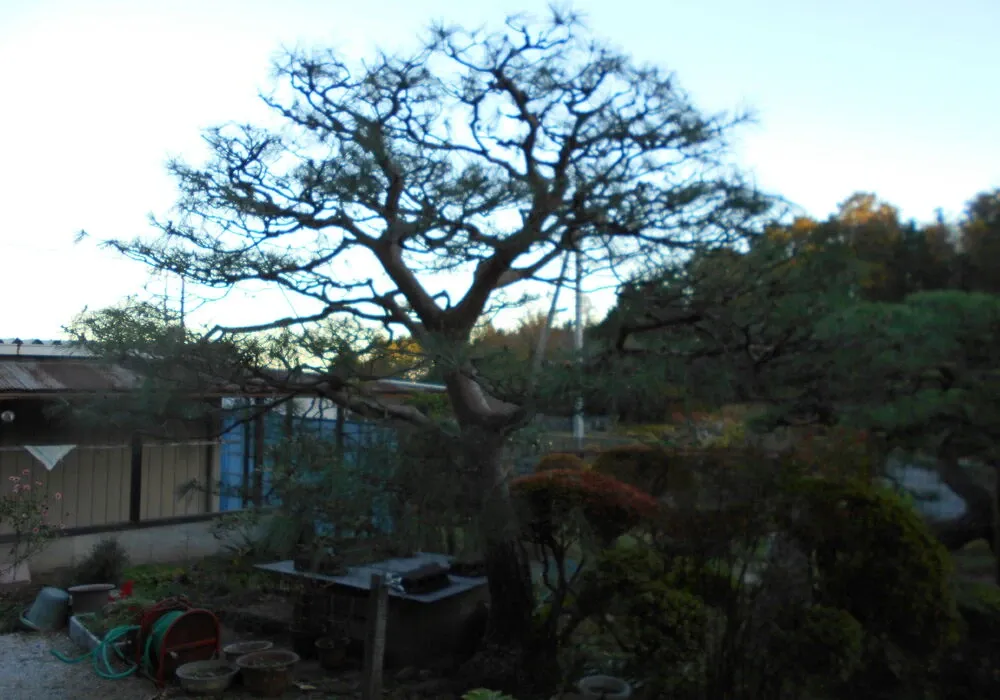 画像1686：嵐山町S邸